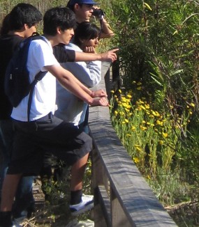 <span>TOURS</span> AND JOINT PROJECTS